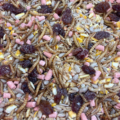 Seed Balls Homemade Wild Bird Treats Gourmet Hanging Treat Made In