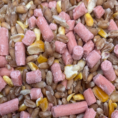 Wheat and Cut Maize with Suet Pellets