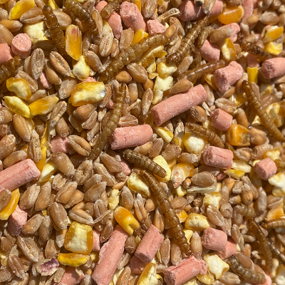 Wheat, Cut Maize with Meal Worms and Suet Pellets