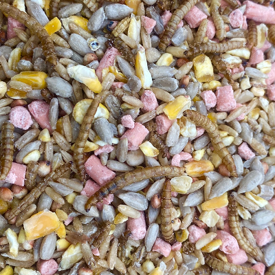 Wheat Free Bird Food, Suet and Meal Worms