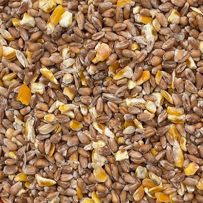 Wheat and Cut Maize Ground Mix