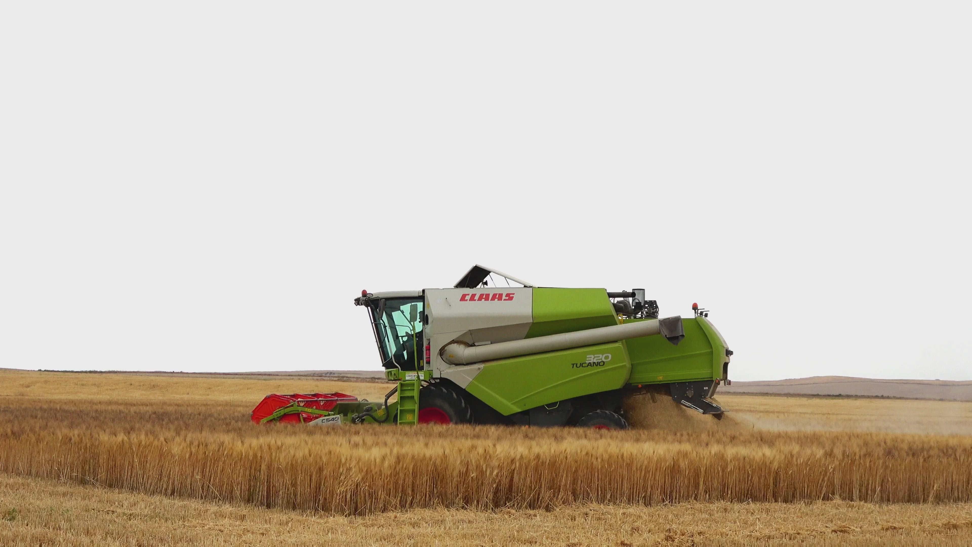 Load video: Combine Harvester cutting wheat for wild bird food mixtures