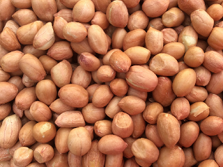 Peanuts for Wild Birds