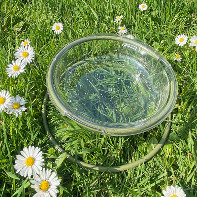 Wild Bird Ground Feeding Bowl