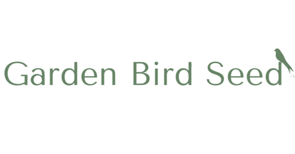 About Us - It Might Sound Seedy But We Are Truly Different! – Wild Bird ...