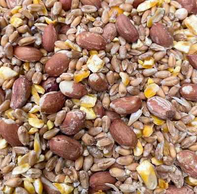 Wheat, Maize and Peanut Mix
