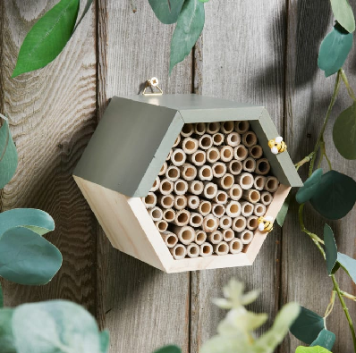 Bee Hotel