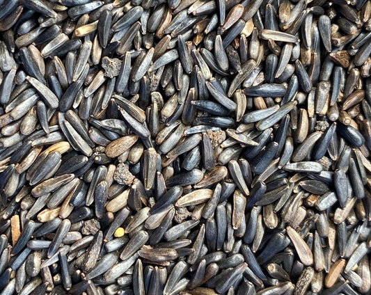 Niger Seed For Garden Birds